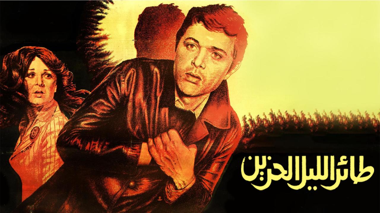 فيلم طائر الليل الحزين 1977